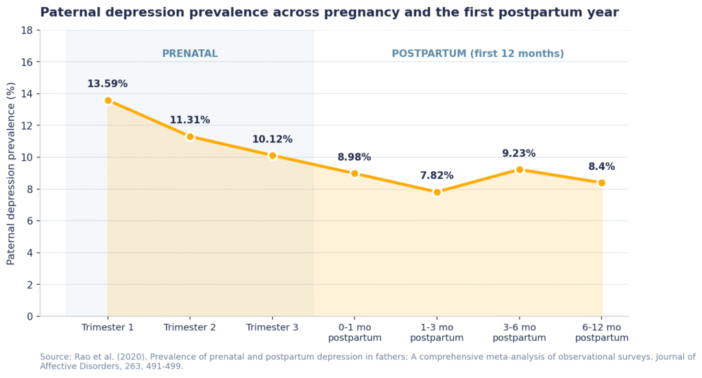 Line chart showing paternal depression prevalence across pregnancy and the first postpartum year, peaking at 13.59% in the first trimester of pregnancy and 9.23% at 3–6 months postpartum, based on Rao et al. 2020 meta-analysis