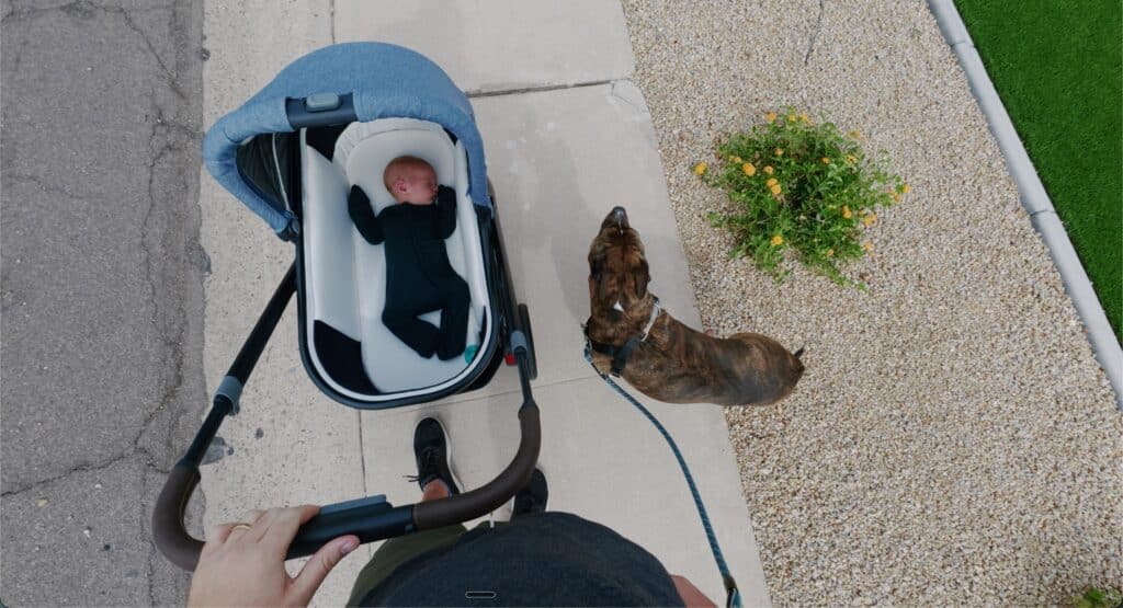A top down view of a baby napping in the Uppababy Cruz v3 with a dog in the picture