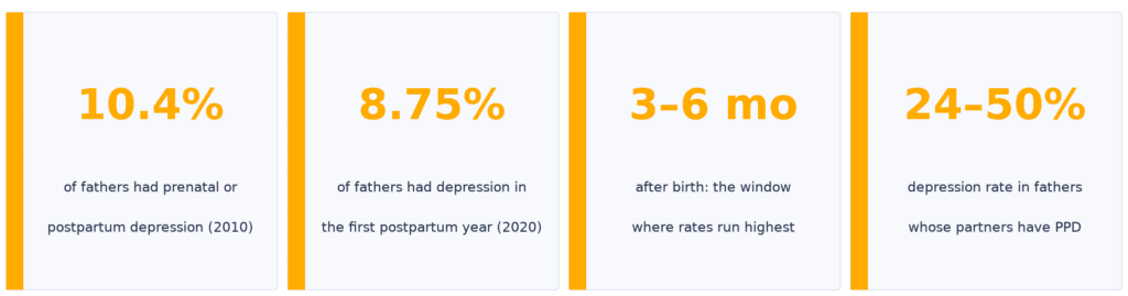 Paternal postpartum depression statistics at a glance: 10.4% of fathers had prenatal or postpartum depression (Paulson and Bazemore 2010 meta-analysis), 8.75% in the first postpartum year (Rao et al. 2020), rates run highest 3 to 6 months after birth, and 24% to 50% of fathers whose partners have postpartum depression are depressed (Goodman 2004 review)